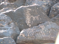 Deer Valley Petroglyph